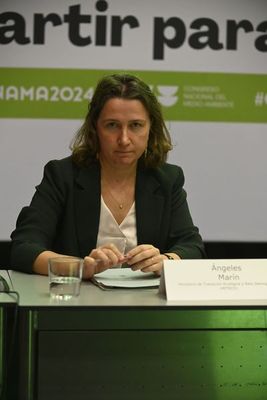 Ángeles Marín